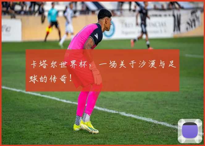 卡塔尔世界杯，一场关于沙漠与足球的传奇！