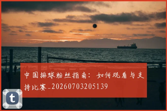 中国排球粉丝指南:如何观看与支持比赛_20260703205139