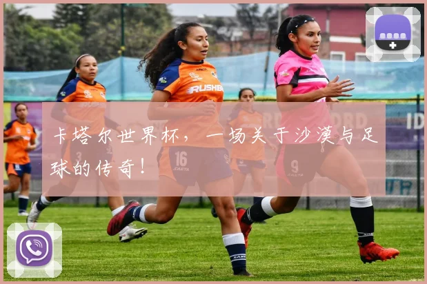卡塔尔世界杯，一场关于沙漠与足球的传奇！