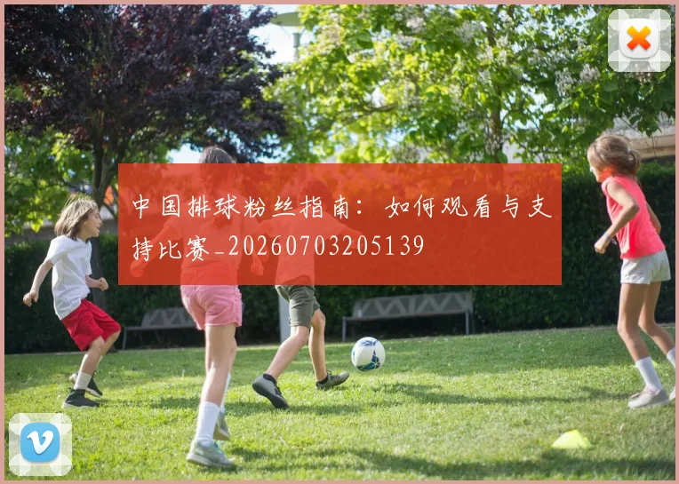 中国排球粉丝指南:如何观看与支持比赛_20260703205139