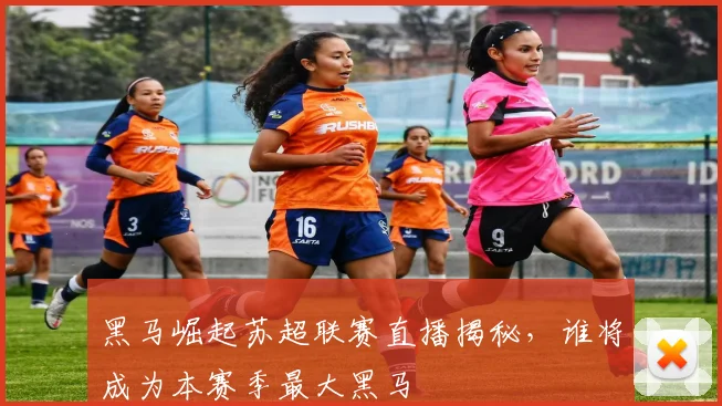 黑马崛起苏超联赛直播揭秘，谁将成为本赛季最大黑马